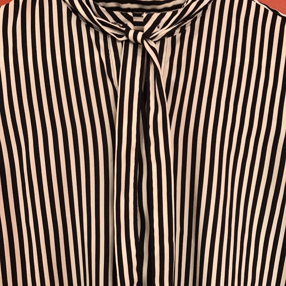 Ann Taylor Petite Dress work shirt